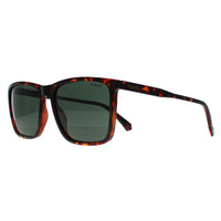 Polaroid Sunglasses PLD 4180/S 086 UC Havana Green Polarized