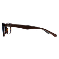 Ray-Ban Glasses Frames 5228 5545 Havana & Brown on Beige Grey