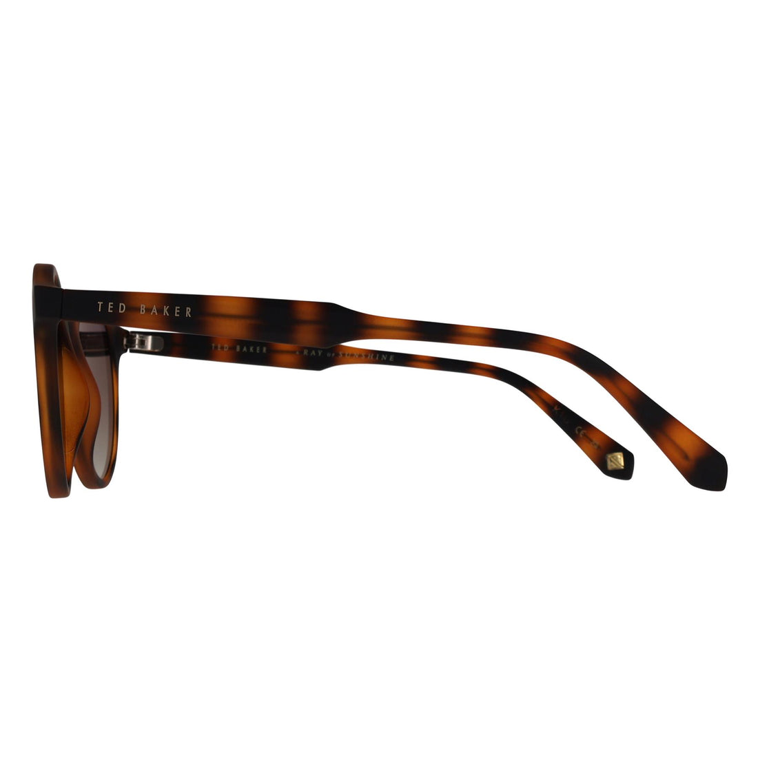Ted Baker Sunglasses TB1503 Odell 173 Tortoiseshell Brown Gradient