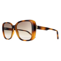 Ted Baker Sunglasses TB1640 Margo 136 Havana Brown Gradient