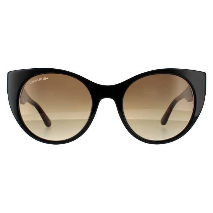Lacoste Sunglasses L913S 001 Black and Havana Brown Gradient