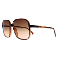 Guess Sunglasses GF6146 45F Brown Brown Gradient