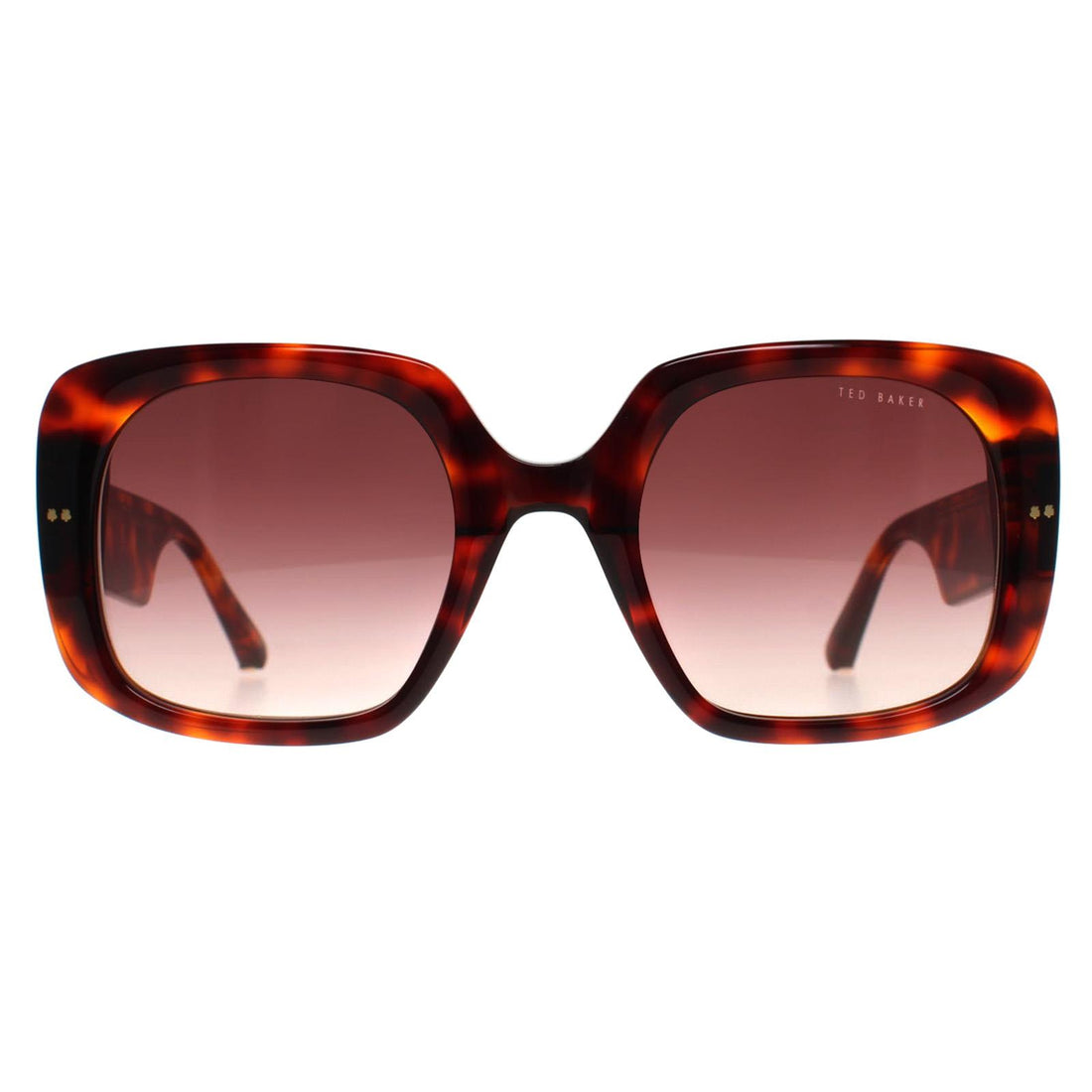 Ted Baker Sunglasses TB1730 Catrina 100 Tortoise Brown Gradient