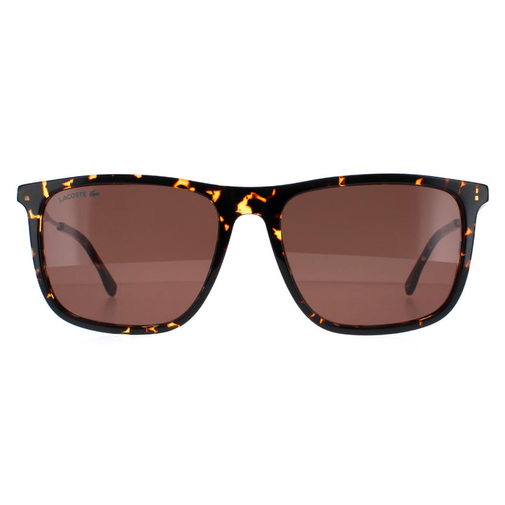 Lacoste Sunglasses L945S 214 Havana Brown