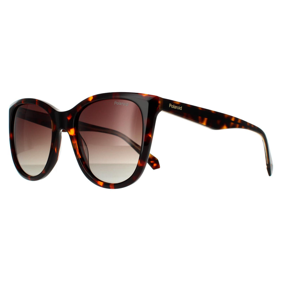 Polaroid Sunglasses PLD 4096/S/X 086 LA Havana Brown Brown Gradient Polarized