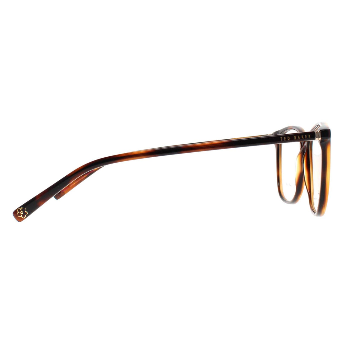 Ted Baker Glasses Frames TB9237 Karina 123 Honey Tortoise Women