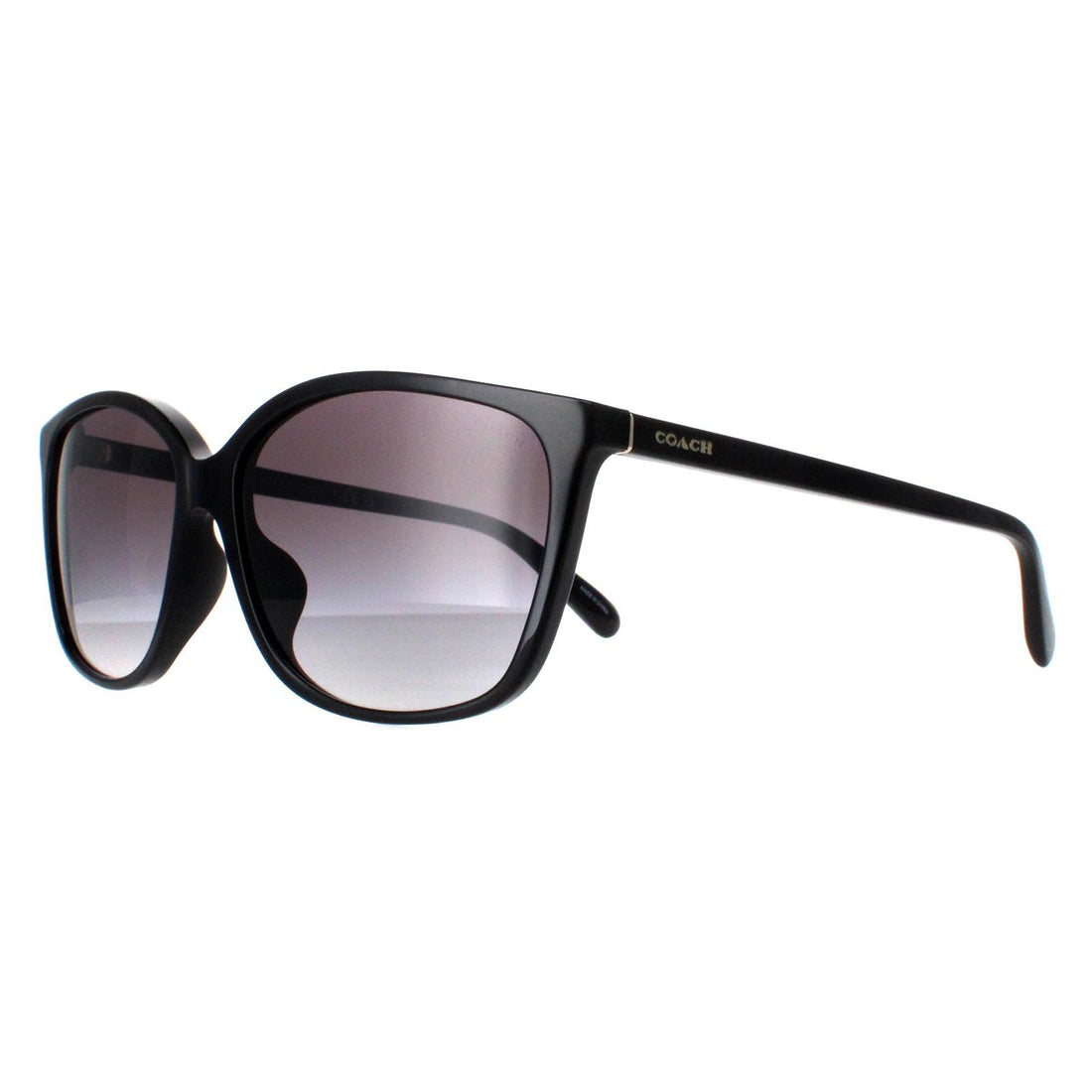 Coach Sunglasses HC8361U 50028G Black Grey Gradient