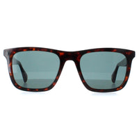 Ted Baker Sunglasses TB1680 Filipe 110 Milky Dark Brown Blue