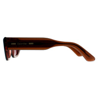 Calvin Klein Sunglasses CK24500S 228 Transparent Brown Pink Dark Purple