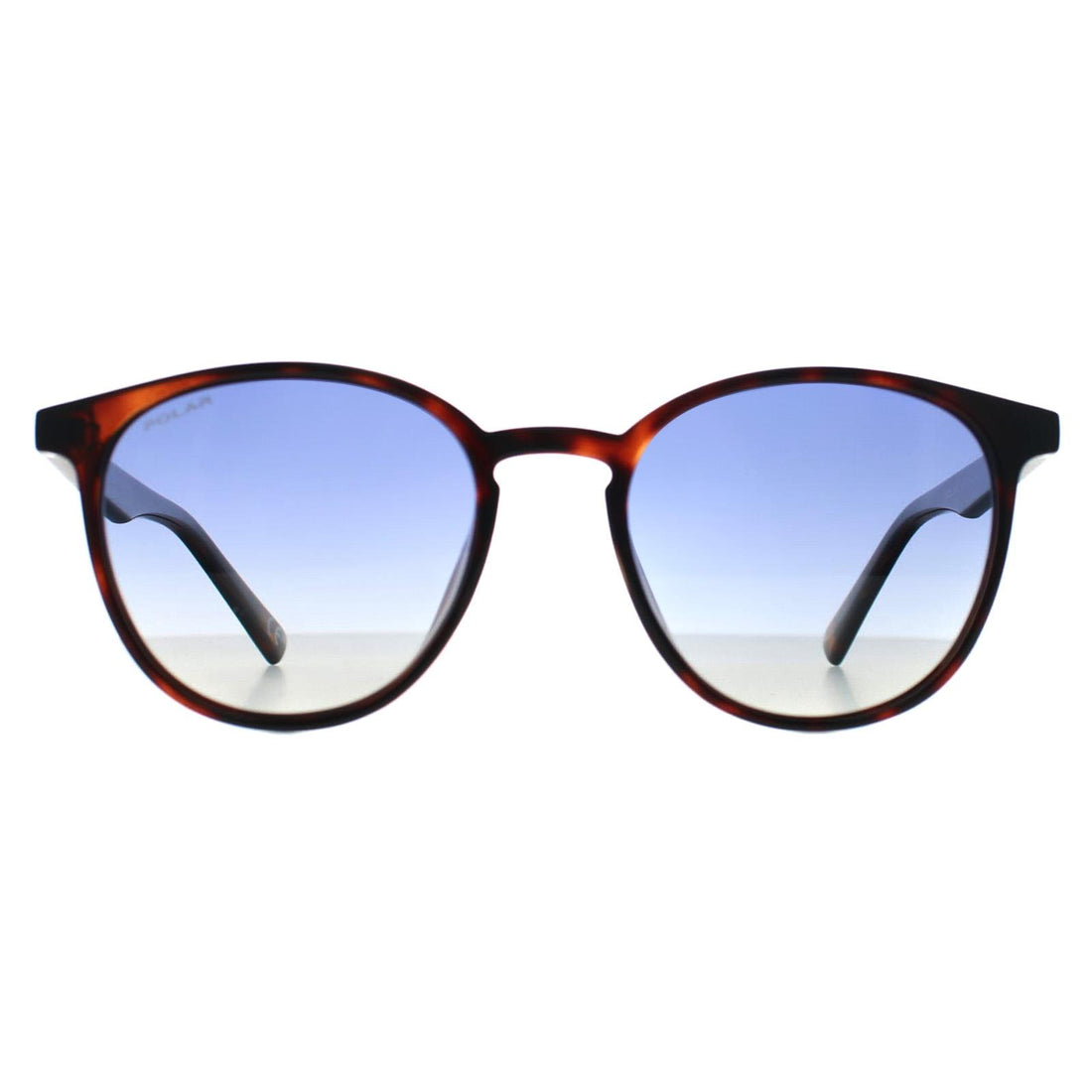 Polar Sunglasses Echo COL.428/A Havana Blue Gradient