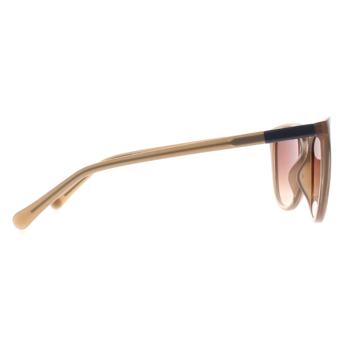 Radley Sunglasses Fionn 112 Gloss Crystal Nude and Painted Blue Brown Gradient