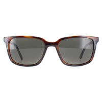 Ted Baker Sunglasses TB1529 Farley 122 Brown Green