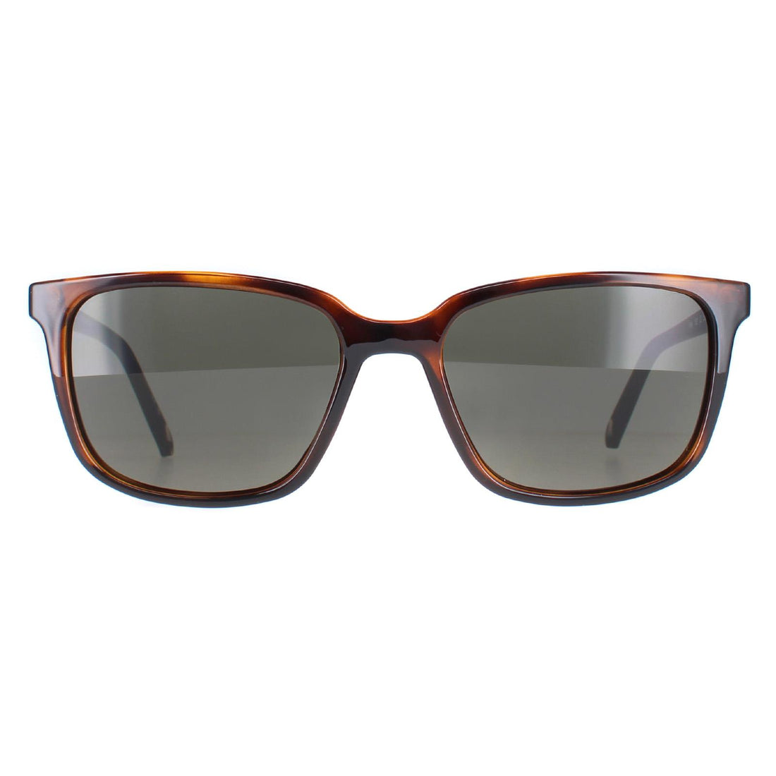 Ted Baker Sunglasses TB1529 Farley 122 Brown Green