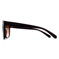 Armani Exchange Sunglasses AX4127S 824113 Shiny Transparent Red Brown Gradient