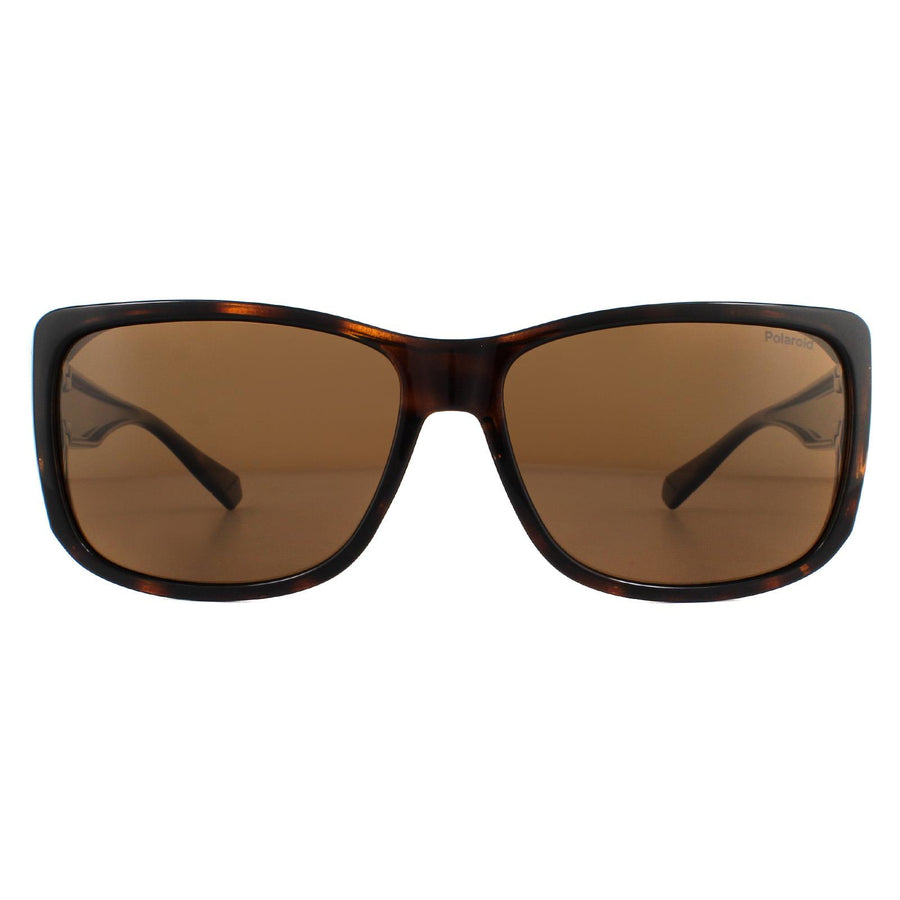 Polaroid Suncovers PLD 9016/S Sunglasses Havana Brown / Copper Polarized