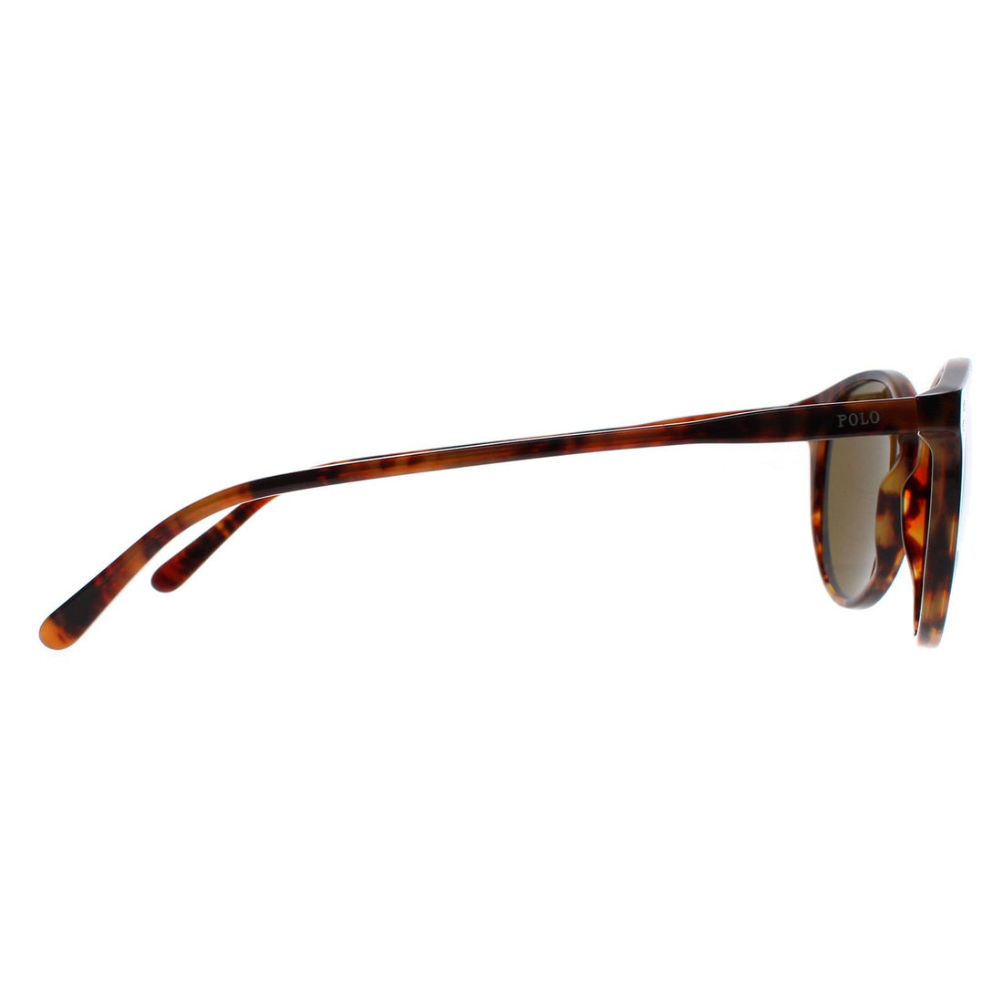 Sunglasses Polo ralph lauren PH4181 5007/87 51-19 Shiny striped havana in  stock | Price 94,08 € | Visiofactory