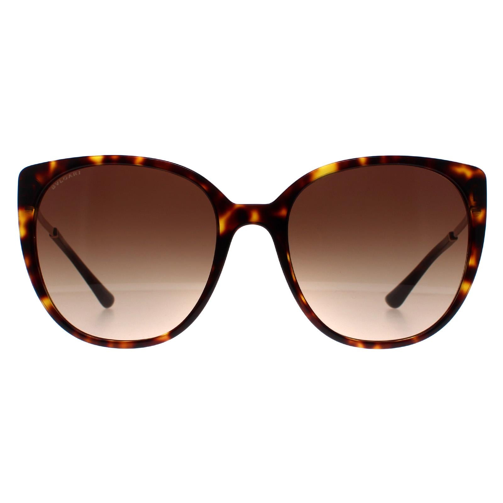Sunglasses BV8251 504 13 Havana Gradient