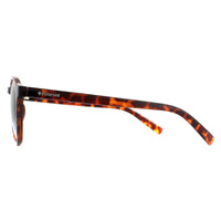 Polaroid PLD 1013/S Sunglasses