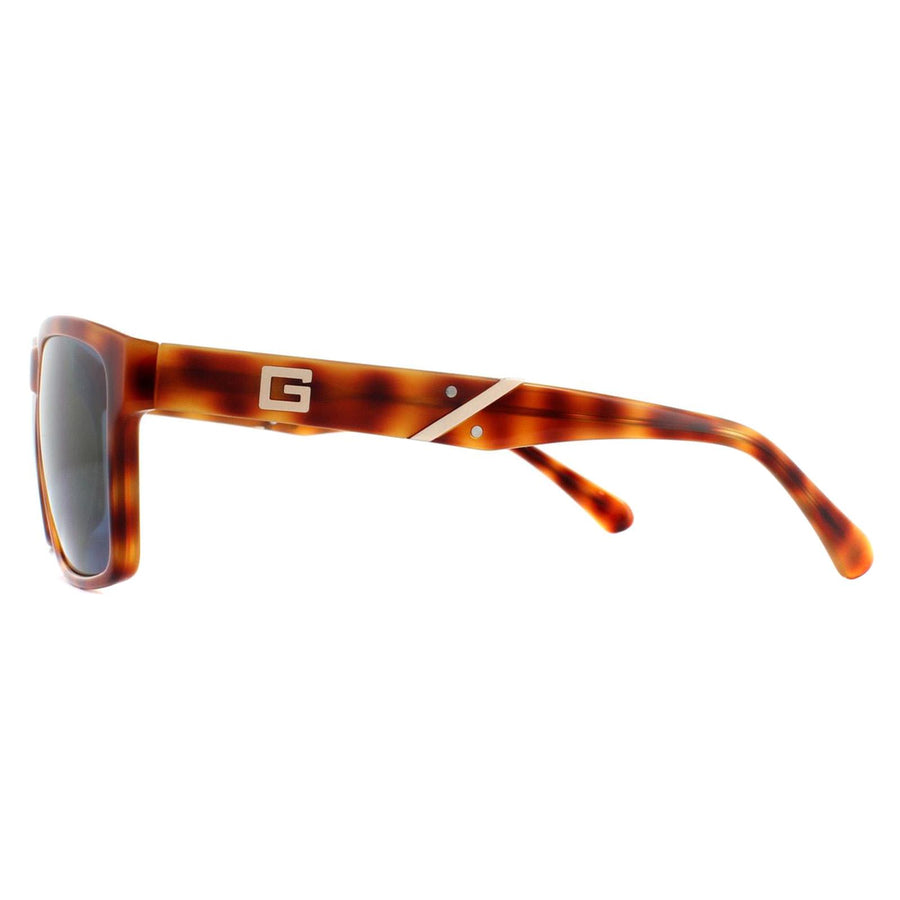Guess Sunglasses GU6756 HNY9 Honey Tortoise Blue
