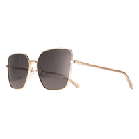 Polaroid Sunglasses PLD 4193/G/S/X 2F7/M9 Gold Grey Grey Polarized