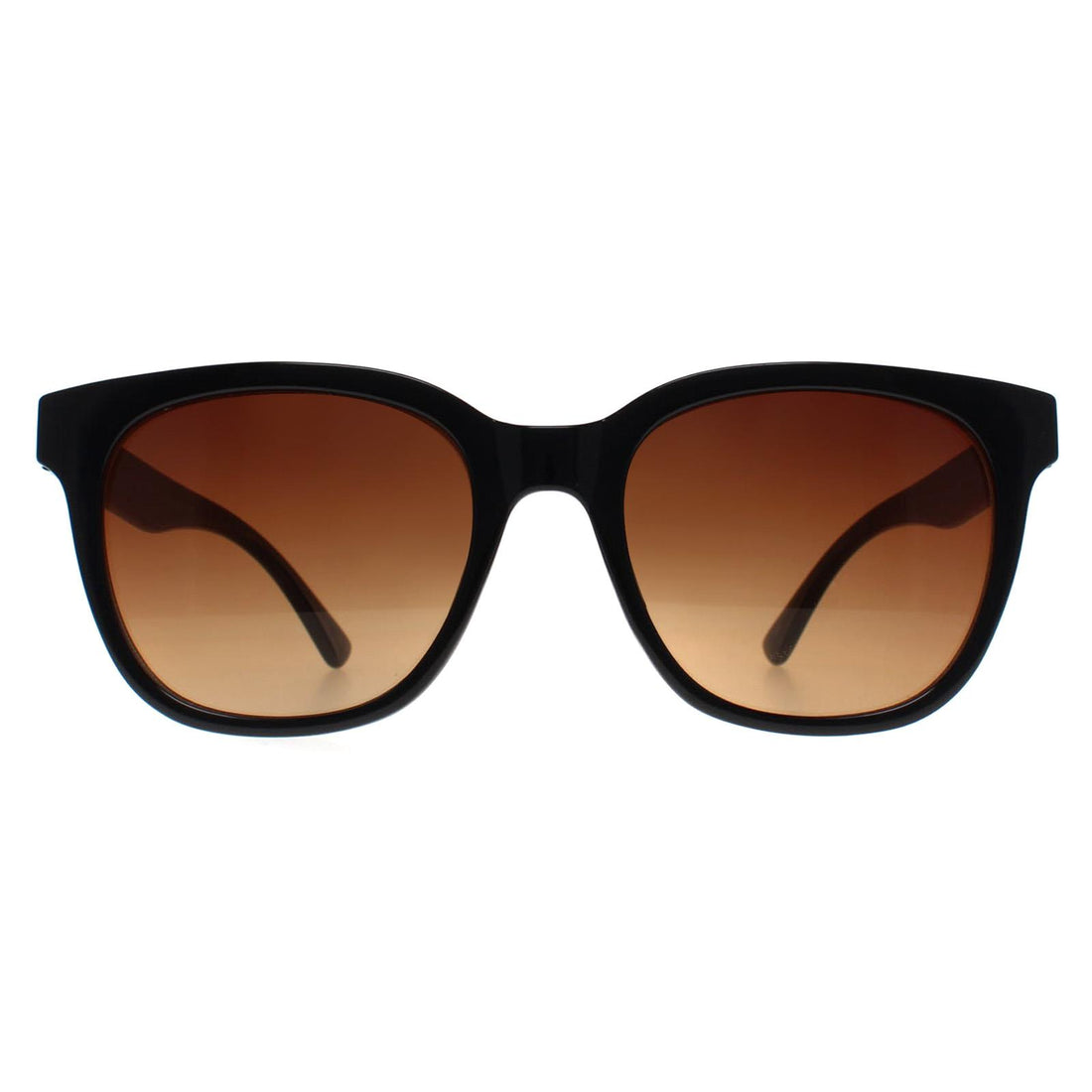 Smarty Sunglasses X2121 A Black Brown