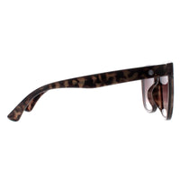 Smarty Sunglasses X2121 B Grey Demi Tortoise Grey