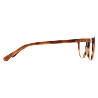 Ted Baker Glasses Frames TB9194 Noella 296 Brown Women