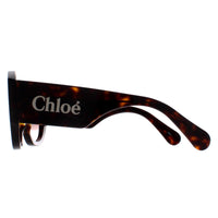 Chloe Sunglasses CH0234S 002 Dark Havana Brown Gradient