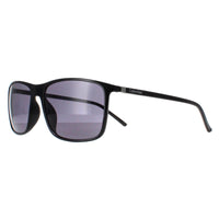 Calvin Klein Sunglasses CK22558S 001 Shiny Black Grey