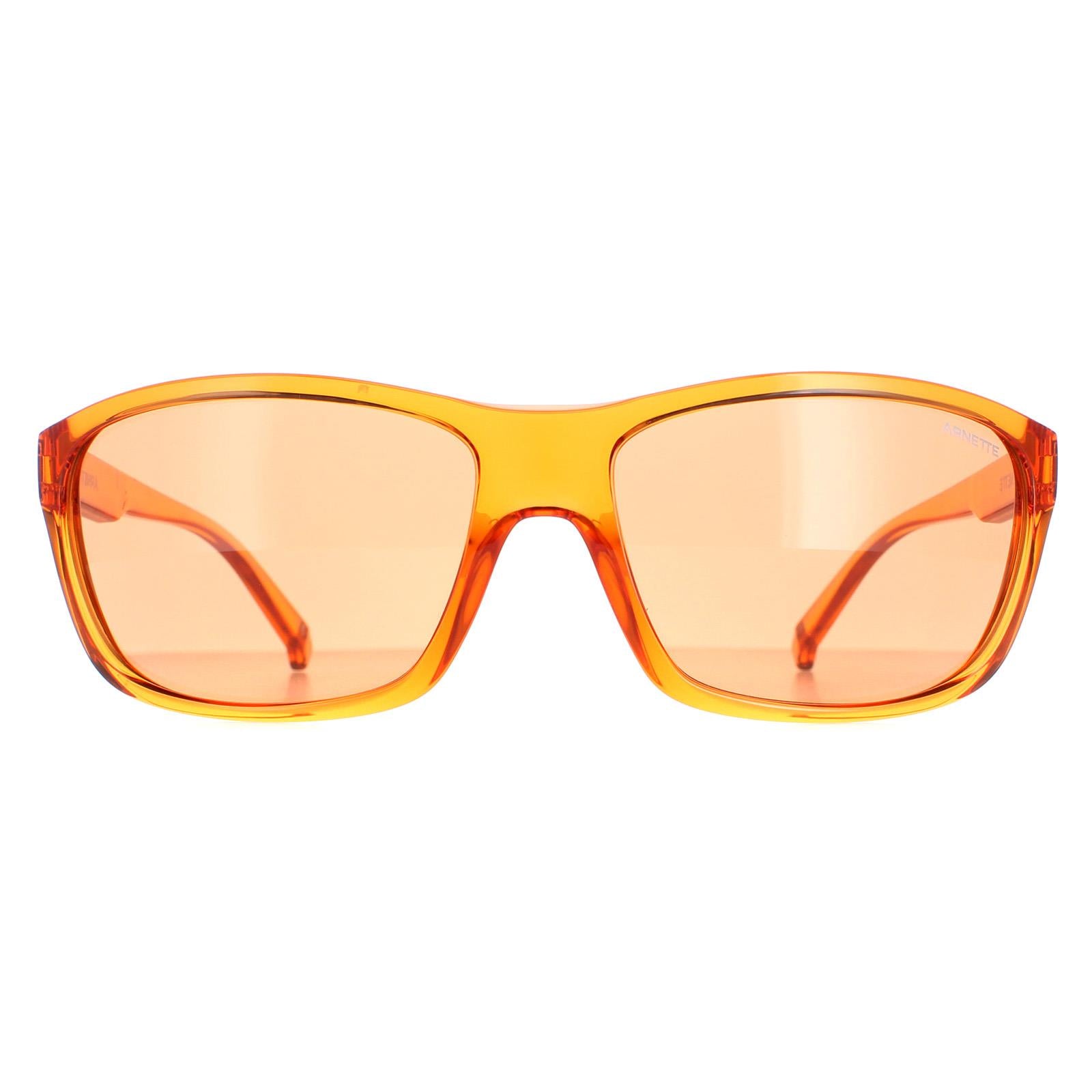 Sunglasses AN4263 Shiny Violet Dark