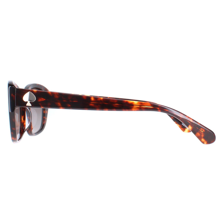 Kate Spade Sunglasses Kenzie/G/S 086 HA Havana Brown Gradient