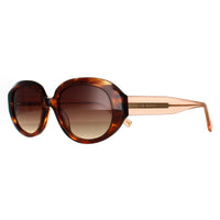Ted Baker Sunglasses TB1689 Penny 104 Brown Horn Brown Gradient