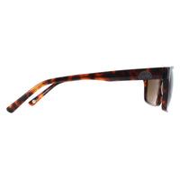 Duck and Cover Sunglasses DCS032 C2 Havana Brown