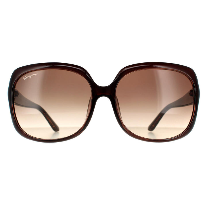 Salvatore Ferragamo Sunglasses SF739SA 210 Brown Brown Gradient
