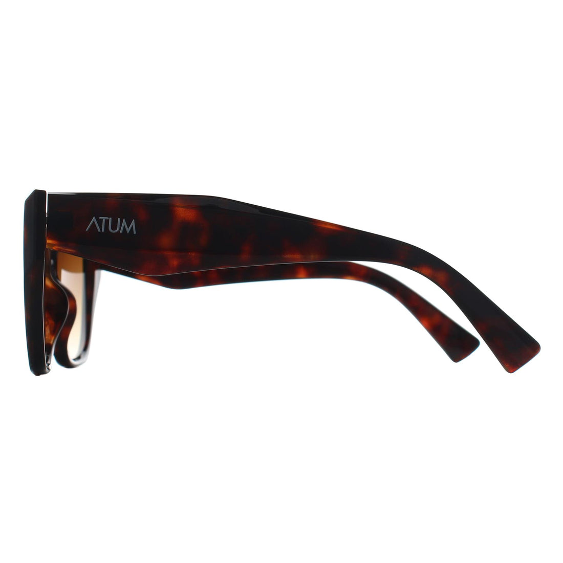 Atum Cat Eye Womens Brown Tortoise Brown Gradient Zenith Sunglasses