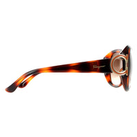 Salvatore Ferragamo Sunglasses SF668 238 Tortoise Brown Gradient