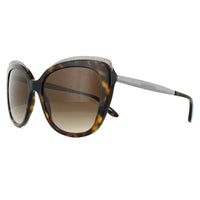 Dolce & Gabbana Sunglasses DG4332 502/13 Havana Brown Gradient