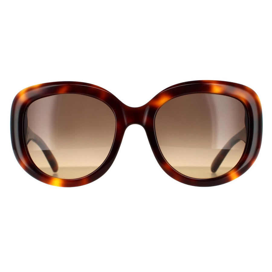 Salvatore Ferragamo SF727S Sunglasses Tortoise / Brown Gradient