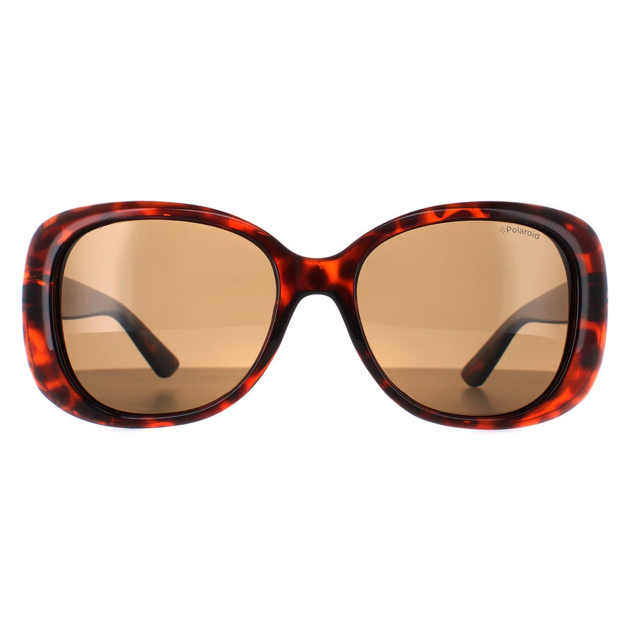 Polaroid Sunglasses PLD 4051/S 086 SP Dark Havana Bronze Polarized