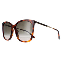 Jimmy Choo Sunglasses NEREA/G/S 05L HA Havana Brown Gradient