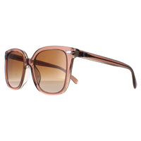 Coach Sunglasses HC8381U 577913 Brown Brown Gradient