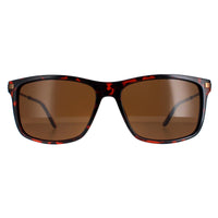 Timberland TB7177 Sunglasses Brown / Brown