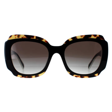 Prada Sunglasses PR16YS 01M0A7 Black and Medium Tortoise Light Grey Gradient