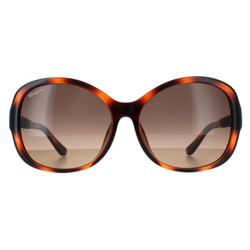 Salvatore Ferragamo Sunglasses SF744SLA 214 Tortoise Brown Gradient
