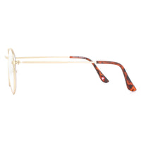 Montana Reading Glasses HBLF54-A Gold Blue Light Block +2.50