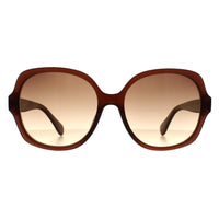 Calvin Klein Sunglasses CK19538S 210 Crystal Brown Brown Gradient