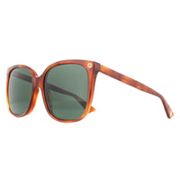 Gucci Sunglasses GG0022S 002 Havana Green