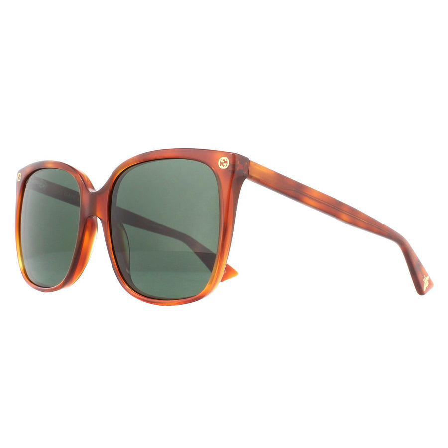 Gucci Sunglasses GG0022S 002 Havana Green