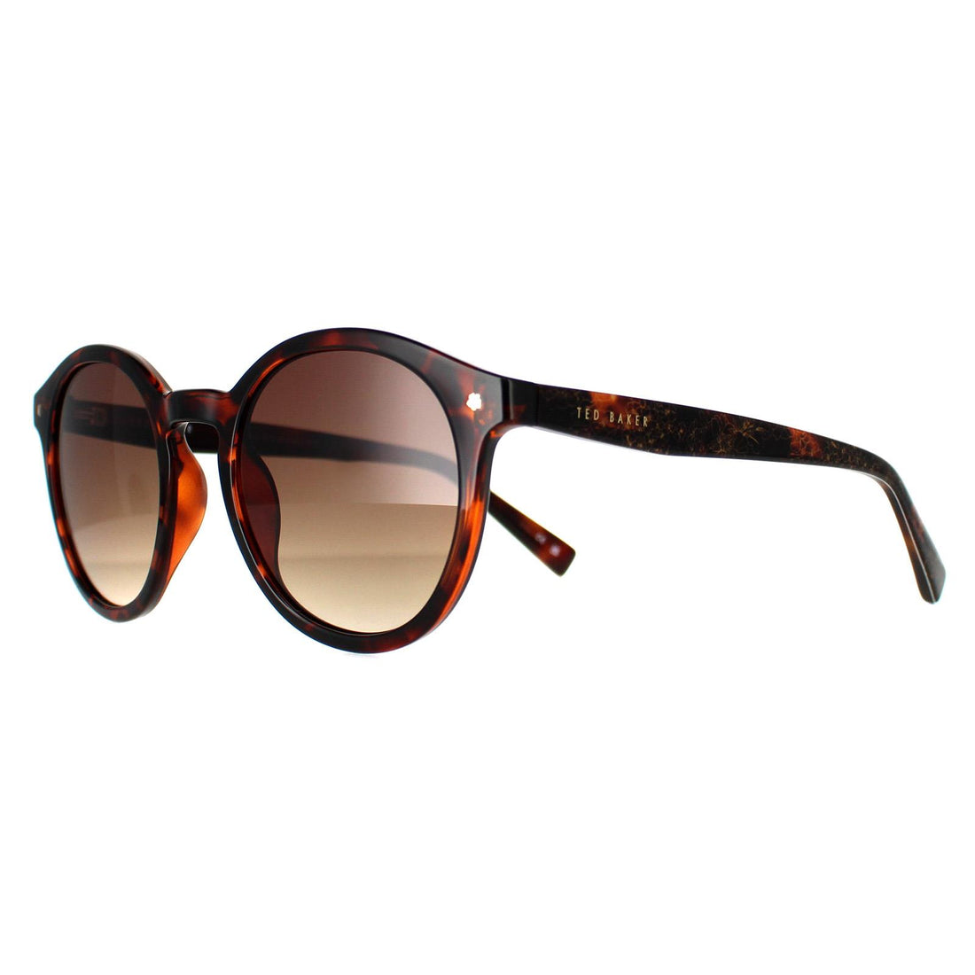 Ted Baker Sunglasses TB1677 Fleur 149 Double Champagne Demi Brown Gradient