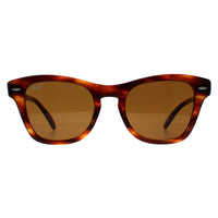 Ray-Ban RB0707S Sunglasses Striped Havana Brown
